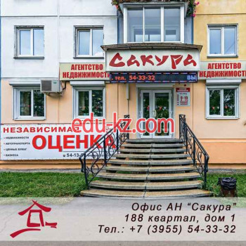 Департамент оценки Сакура