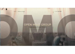 Open Mind Group