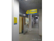 АН Новоселы