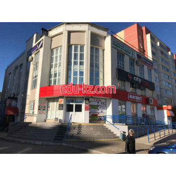 Семь юристов