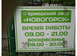 Новогорск