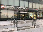 Арктика