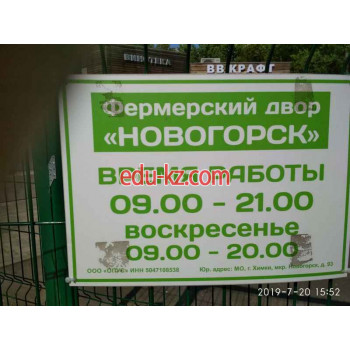 Новогорск