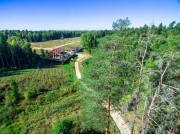 Звенигородский лес