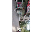 Золотая Антилопа, ИП