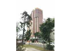 ЖК Центральный, 31-1