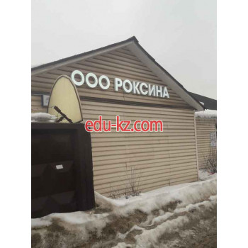Роксина
