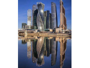 Династия МСК