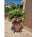 CyprusRenters.com