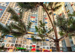 Микрорайон Спасский мост