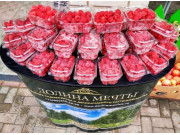 Калужская Малина