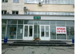 Коммунар