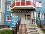 Агентство недвижимости и оценки Профессионал
