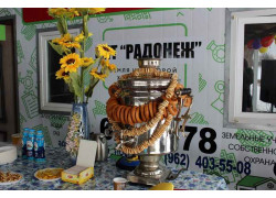 Радонеж