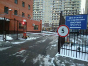 Формика