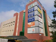 Ms-Group