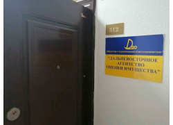 Дальневосточное агентство оценки имущества