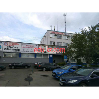 Алексор