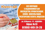 Юрист-Дв