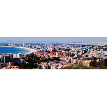 Мистраль Евросервис