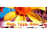 Ольдам-Техно