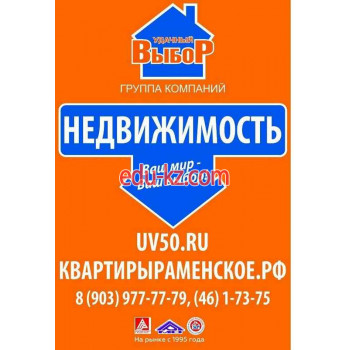 Удачный Выбор