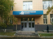 Новодмитровский